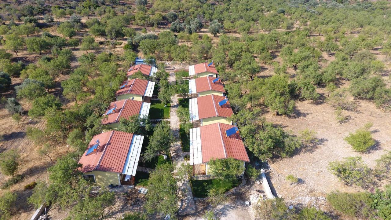 Selerdoga Evleri Hotel Palamutbuku Exterior photo
